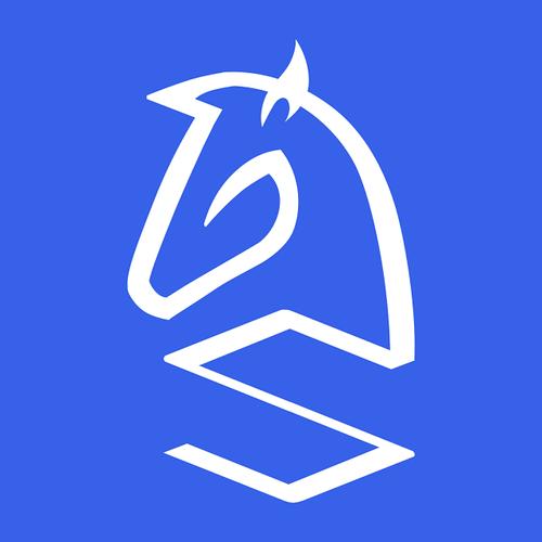 湖北神码软件开发与信息咨询服务 驱动数字化转型的专业力量
